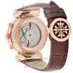 Patek Philippe Grand Complications Power Tourbillon Brown/Gold/White