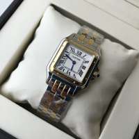 Cartier Panthere de Cartier Mini Silver/Gold/White