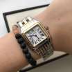 Cartier Panthere de Cartier Mini Silver/Gold/White