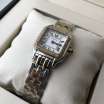 Cartier Panthere de Cartier Small Diamond Silver/Gold/White