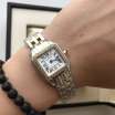 Cartier Panthere de Cartier Small Diamond Silver/Gold/White