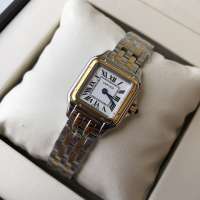 Cartier Panthere de Cartier Small Silver/Gold/White