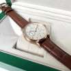 IWC Portuguese Automatic Brown/Gold/White