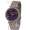Michael Kors MK3191 Darci Silver-Gold/Purple