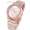 Michael Kors MK3622 Jaryn All Rose Gold