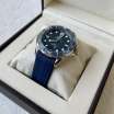 Omega Seamaster Diver 300M Master Co-Axial 42 Silver/Blue