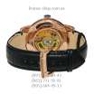 Ulysse Nardin Freak Black/Gold/Blue