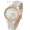 Ulysse Nardin Jade White/Gold/White